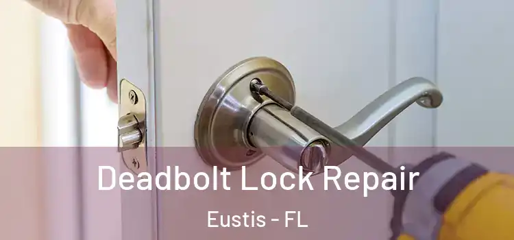 Deadbolt Lock Repair Eustis - FL