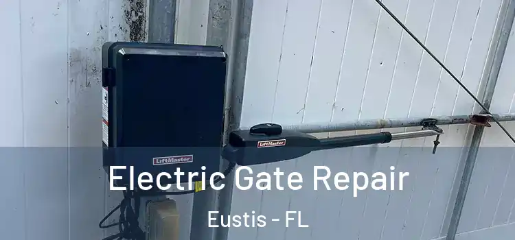 Electric Gate Repair Eustis - FL