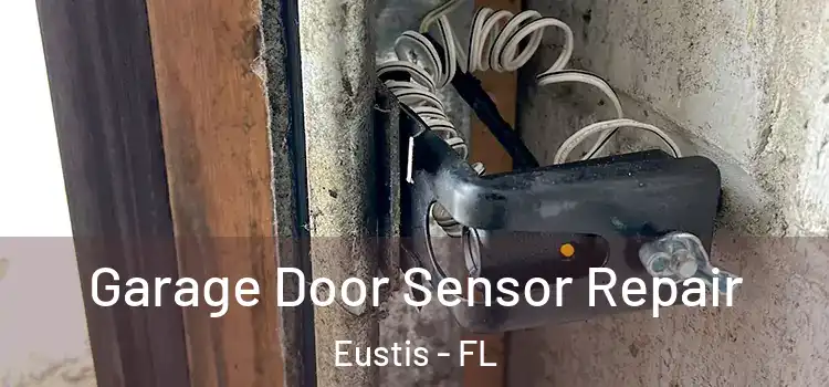 Garage Door Sensor Repair Eustis - FL
