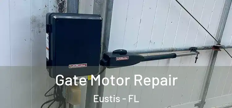 Gate Motor Repair Eustis - FL